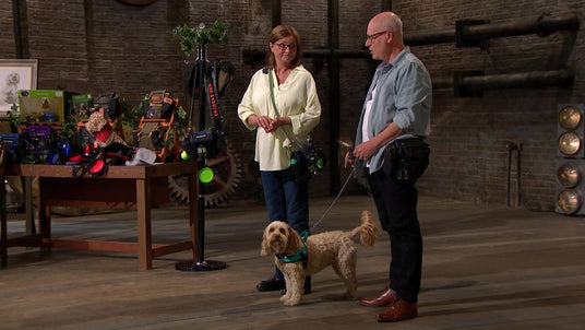 In Dragons' Den Barking Bags Dog Walking Bags