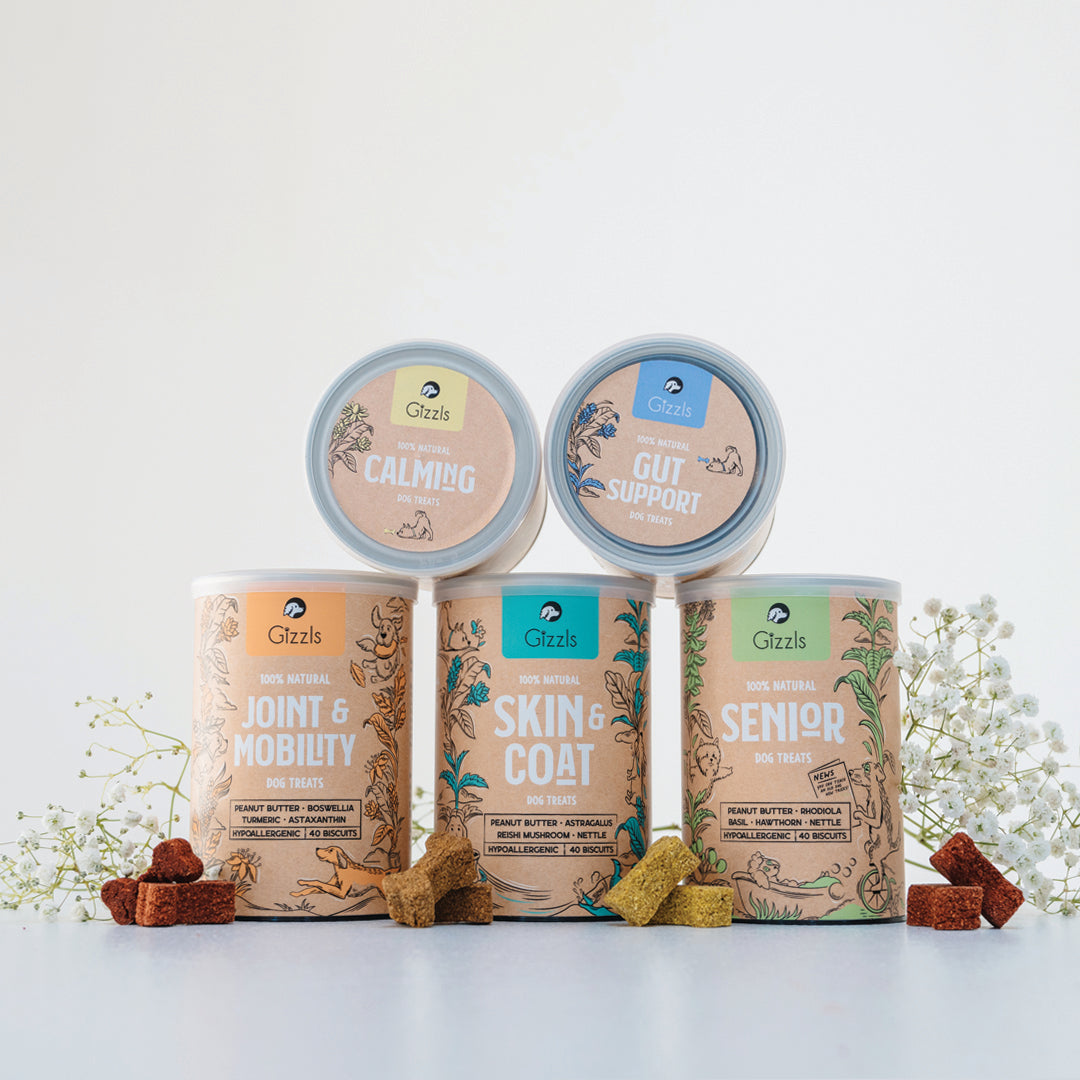 Gizzls Joint & Mobility Dog Treats