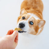 Gizzls Brain Booster Big Dog Treats 200g