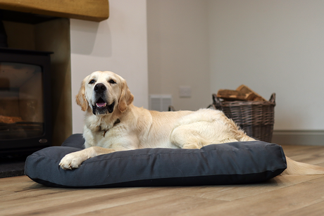 Charcoal Fabric Dog Bed  Barking Beds   