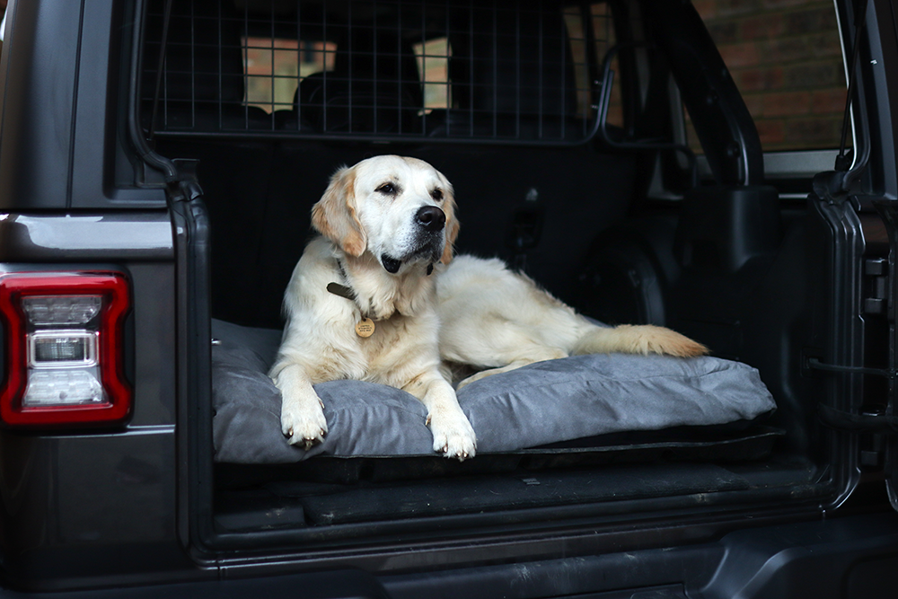 Luxury Faux Suede Dog Bed - Grey  Barking Beds   
