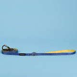 SnazzyTails The Minnie Dog Lead Blue & Yellow Polka Dot