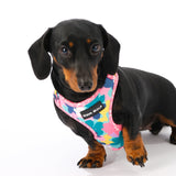 SnazzyTails The Luna Mesh Dog Harness Bright Floral