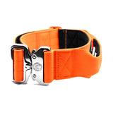 BTactical 5cm Nylon Dog Collar - Citrus Orange