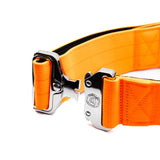 BTactical 5cm Nylon Dog Collar - Citrus Orange