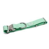 BTactical 4cm PVC Dog Collar - Pastel Green