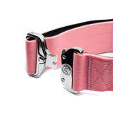 BTactical 5cm Nylon Dog Collar - Pretty Pink