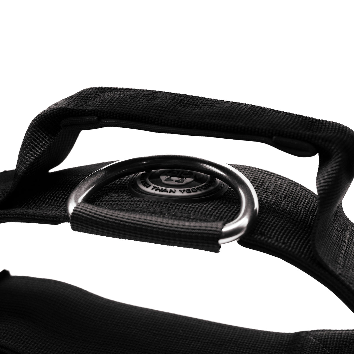 BTactical 5cm Nylon Dog Collar - Midnight Black