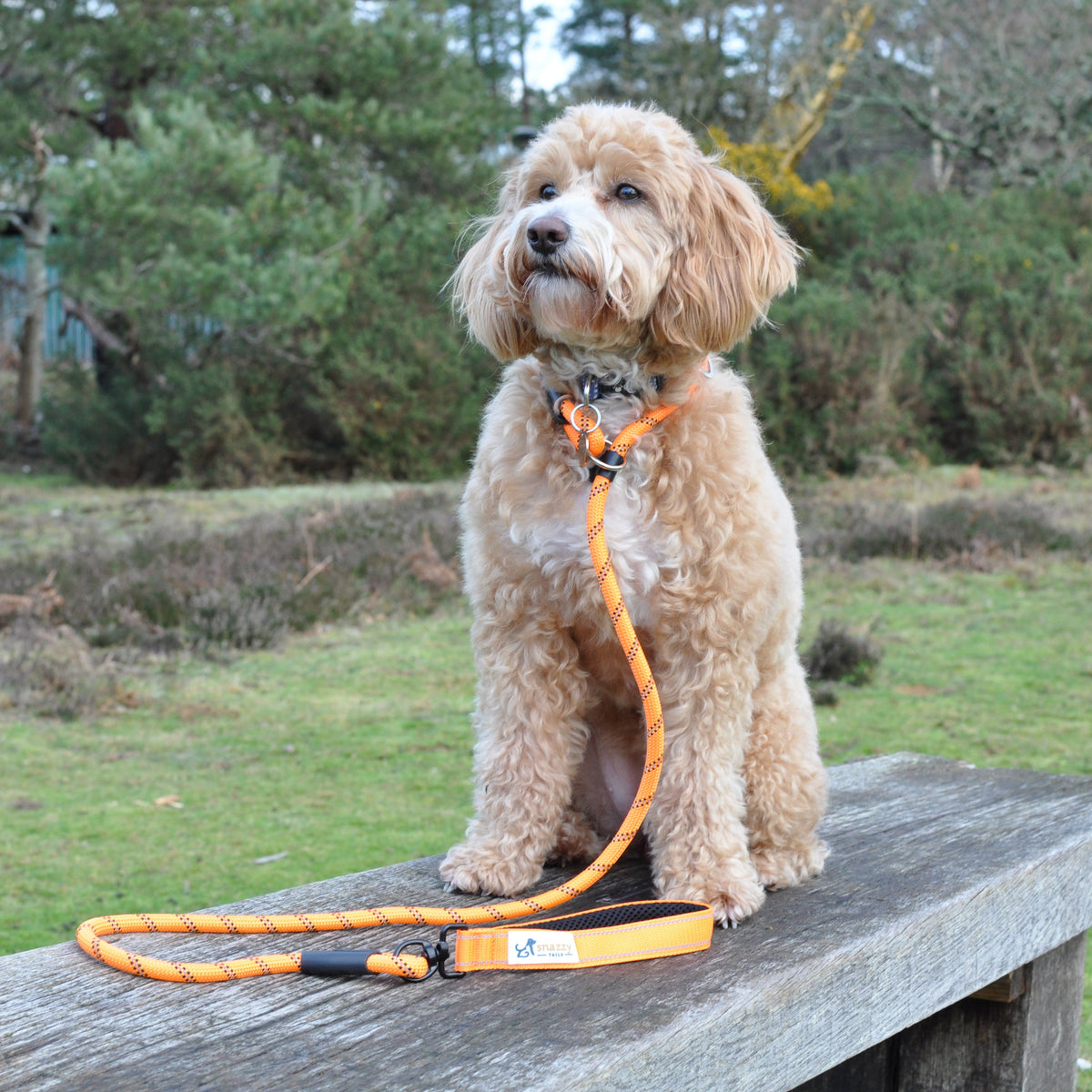 SnazzyTails Freedom Pro Rope Dog Lead