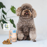 Gizzls Gut Support Dog Treats