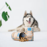 Gizzls Gut Support Dog Treats