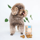 Gizzls Gut Support Dog Treats