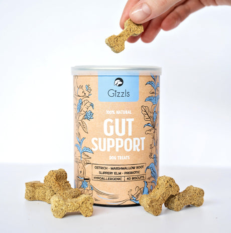 Gizzls Itchy Skin & Tummy Bundle Dog Supplement Treats
