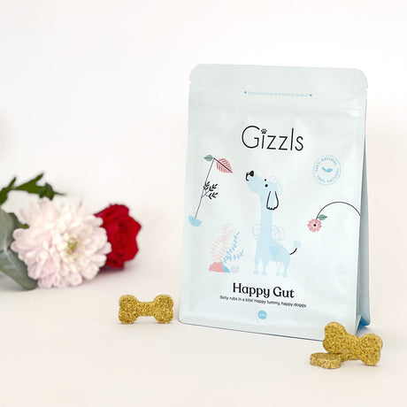 Gizzls Happy Gut Big Dog Treats 200g
