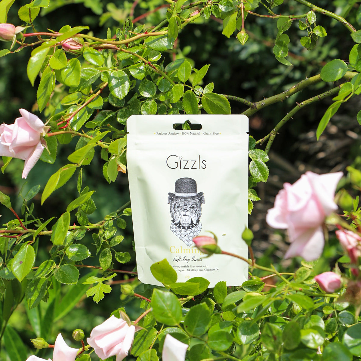 Gizzls Calming Soft Dog Treats