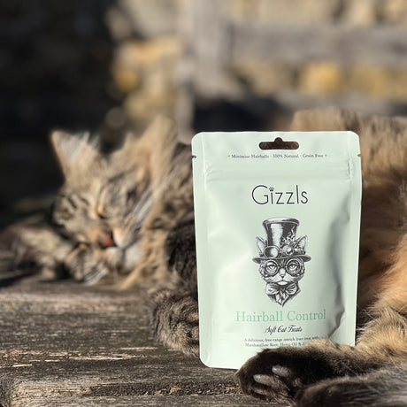 Gizzls Hairball Control Soft Cat Treats