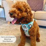 PupClub Couture Rugged Rover Harness - Pastel Daisy