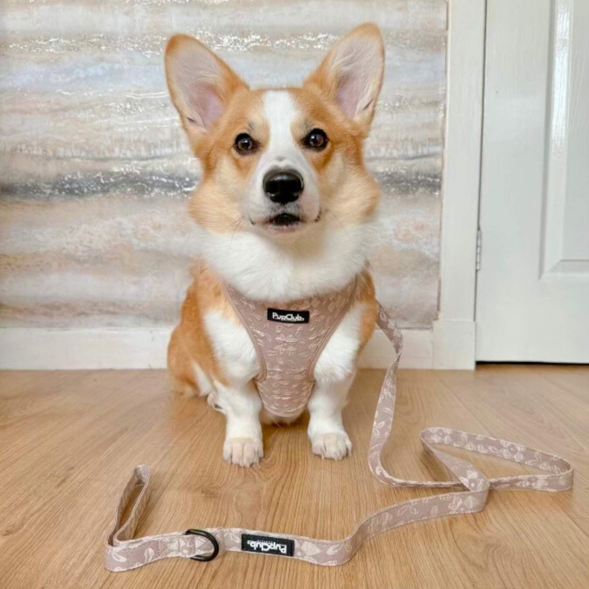 PupClub Couture Luxe Toffee Latte Petals Adjustable Dog Harness