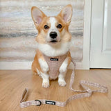 PupClub Couture Luxe Toffee Latte Petals Adjustable Dog Harness
