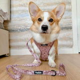 PupClub Couture Luxe Mocha Petals Adjustable Dog Harness