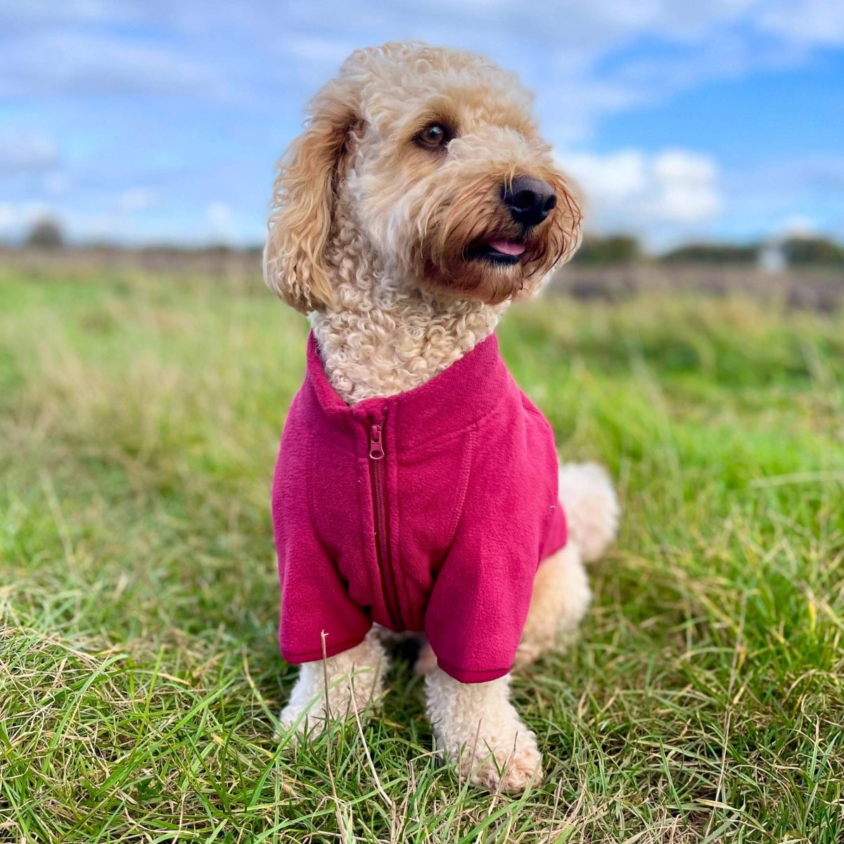 PupClub Couture Dog Fleece Coat - Berry Red
