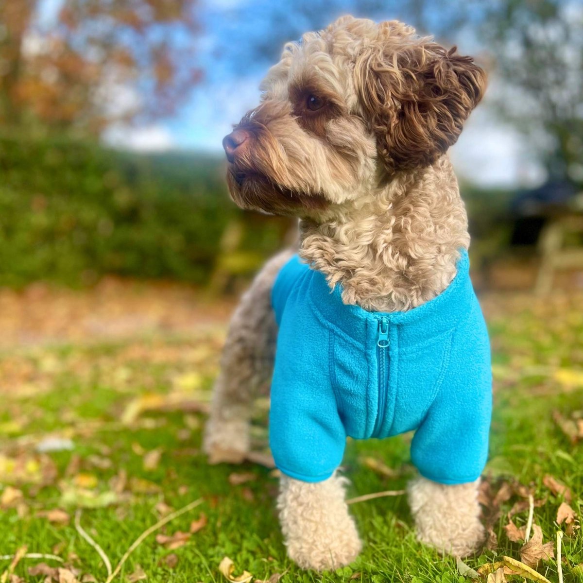 PupClub Couture Dog Fleece Coat - Blue