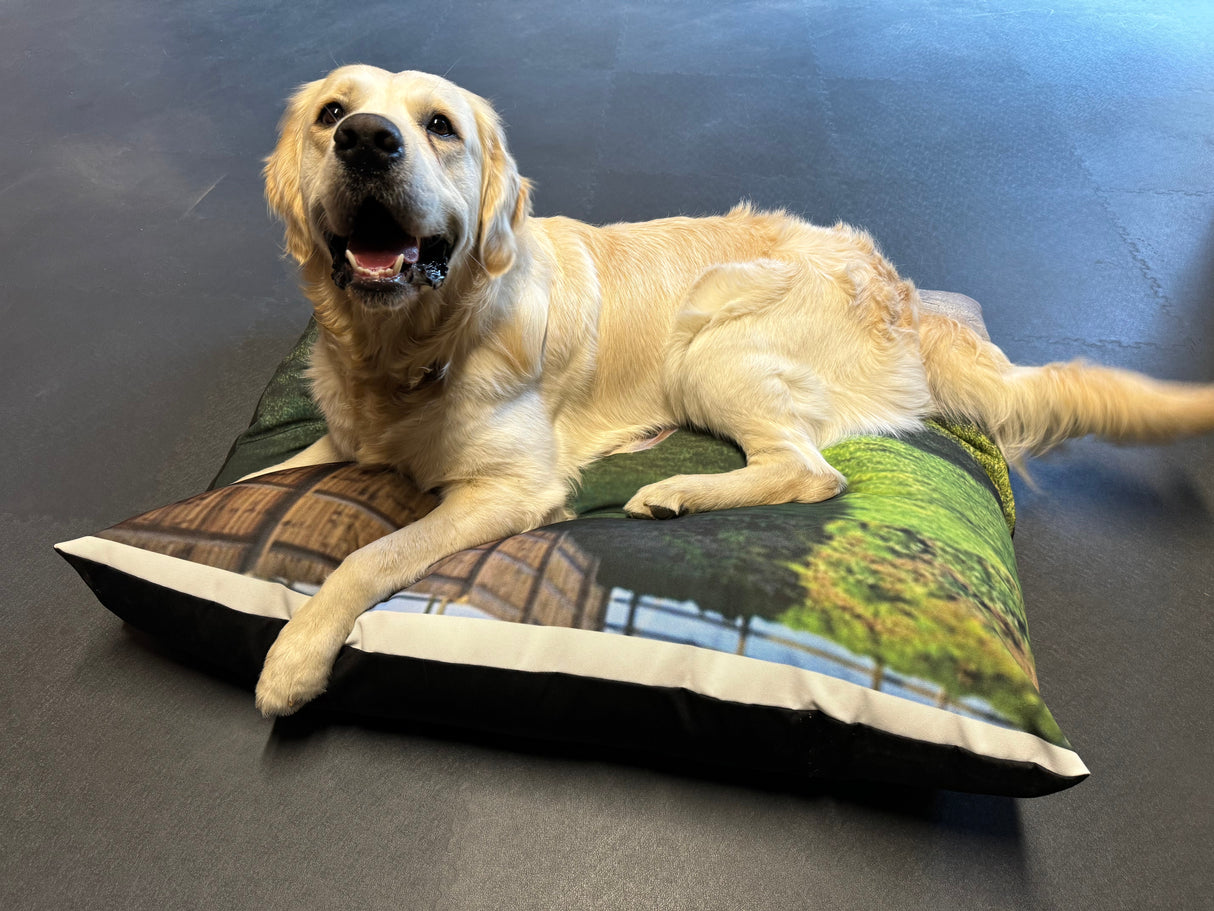 Custom Photo Dog Bed | Upload Your Own Photo Beds Prodigi   