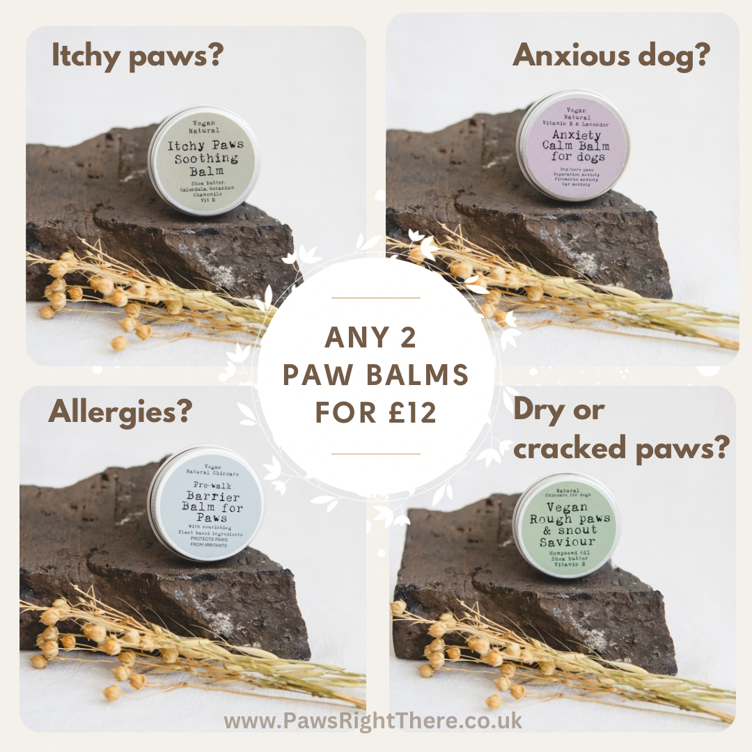 Paws Right There Itchy Paw Soothing Balm for Dogs 30ml