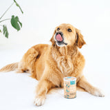 Gizzls Itchy & Scratchy Dog Treats