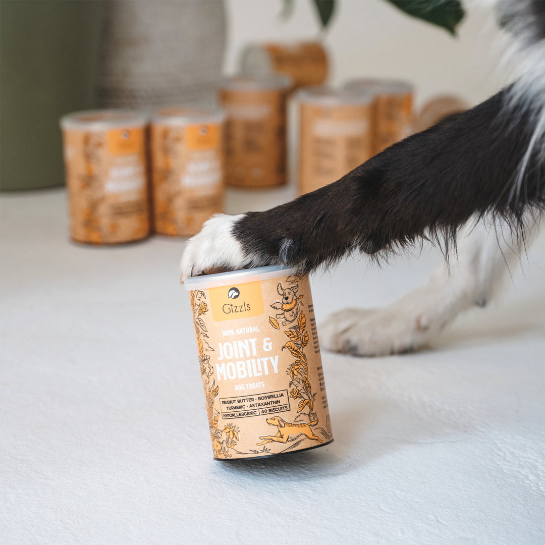 Gizzls Joint & Mobility Dog Treats
