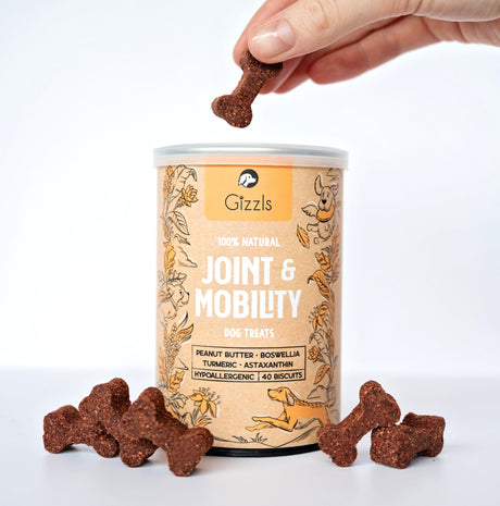Gizzls Joint & Mobility Dog Treats