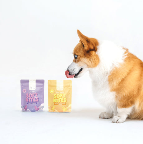 Gizzls Soft Bites Dog Treat Bundle 2 x 150g