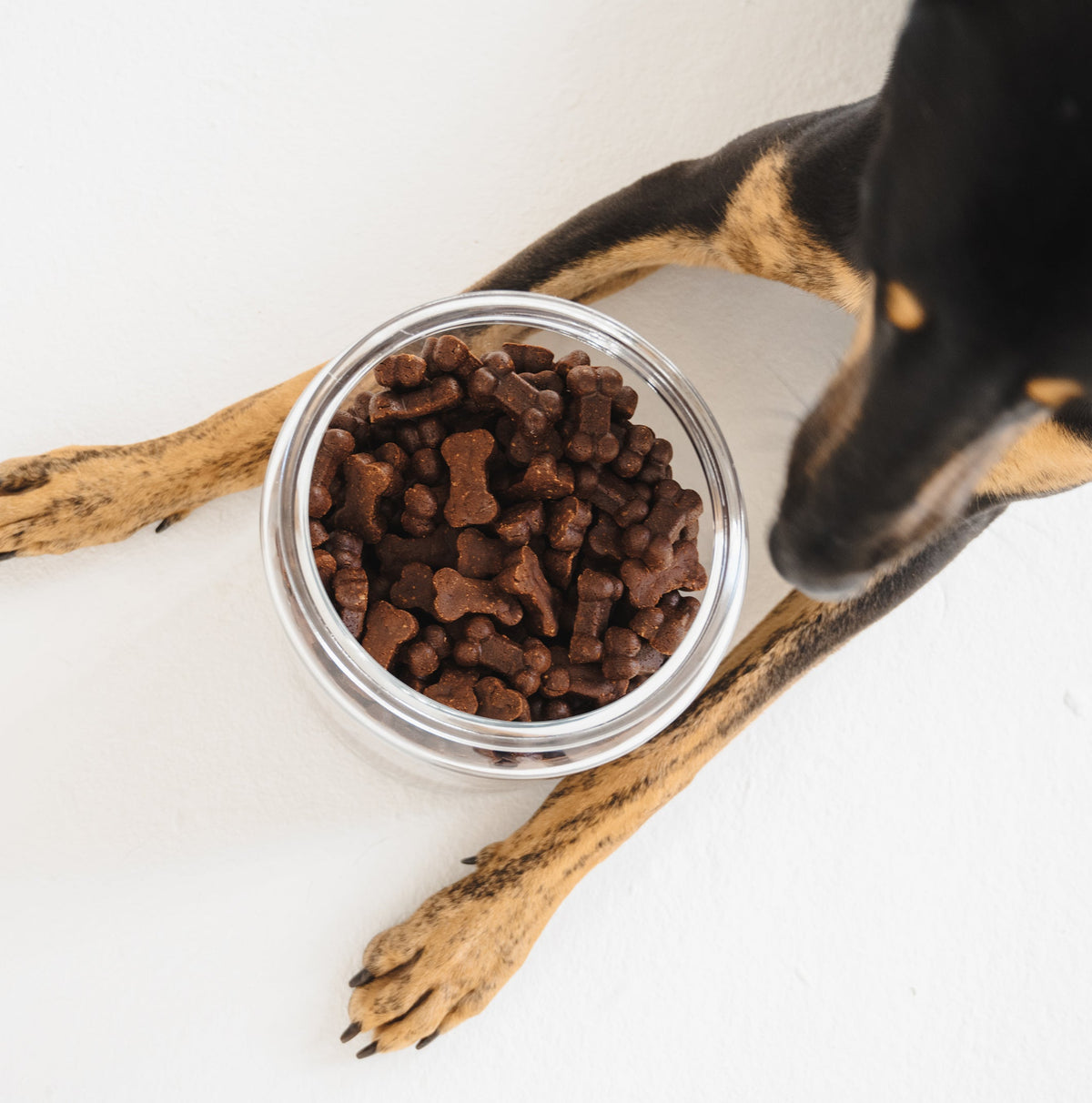 Gizzls Ostrich Liver & Blueberry Soft Dog Treats 150g