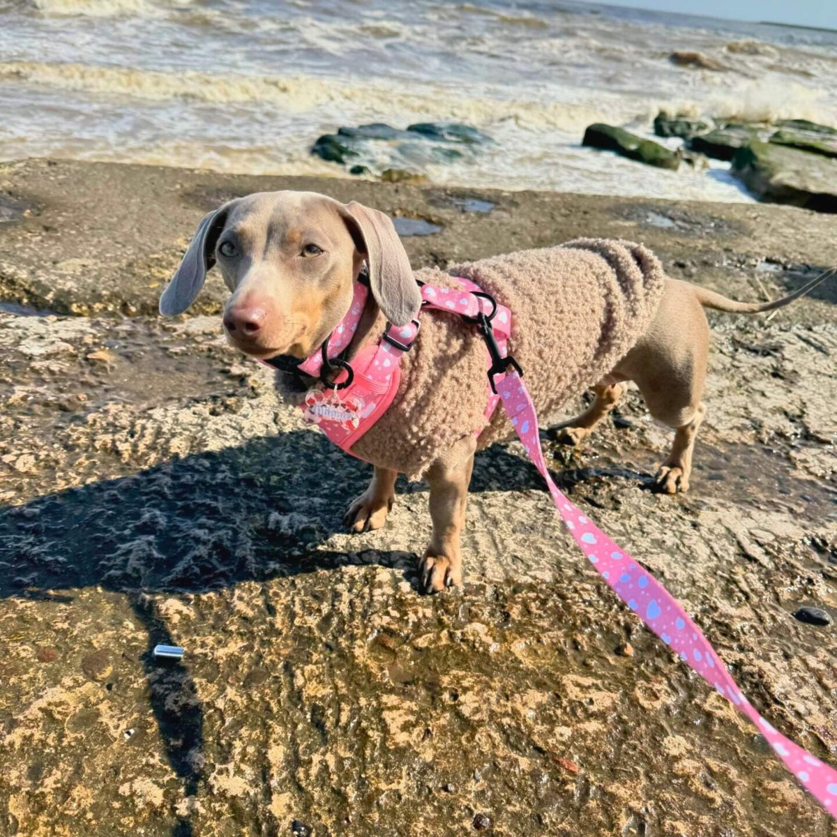 PupClub Couture Dog Lead - Peachy Hearts