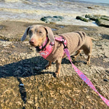 PupClub Couture Dog Lead - Peachy Hearts
