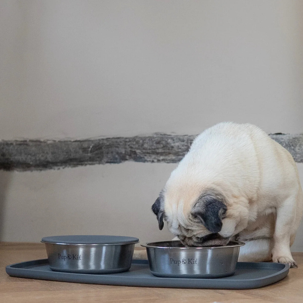 Lid-it® Bowl with Stay-Fresh Lid - Grey Dog Supplies Pup & Kit