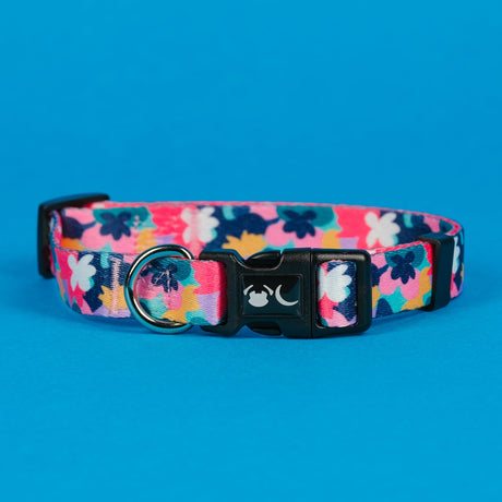 SnazzyTails Luna Dog Collar - Floral