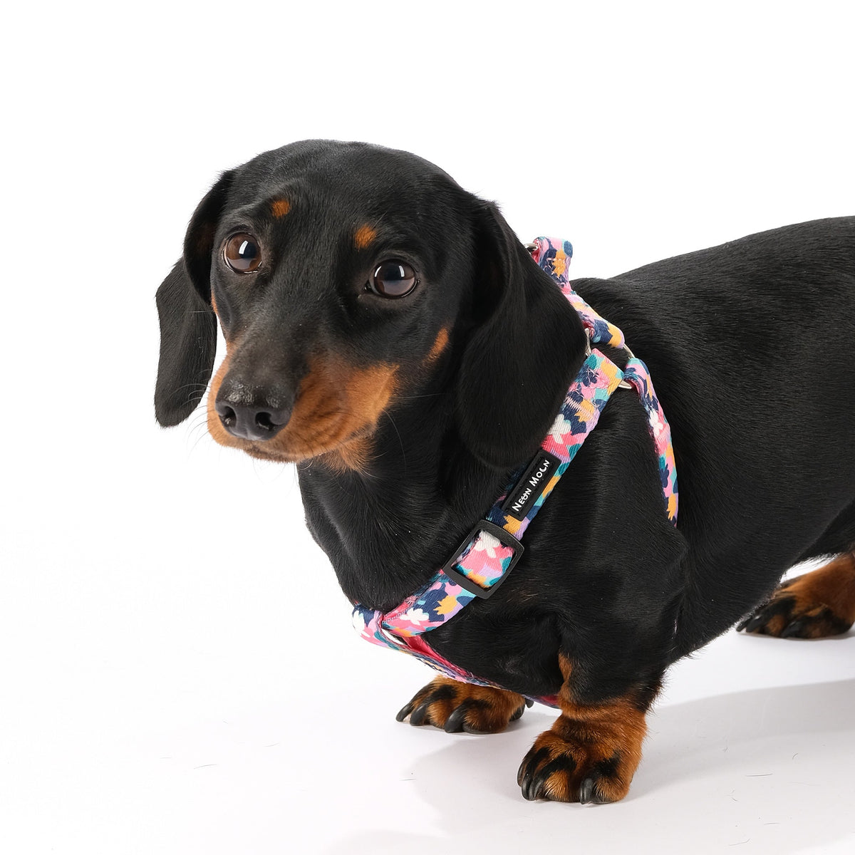 SnazzyTails Luna Step-In Dog Harness - Floral