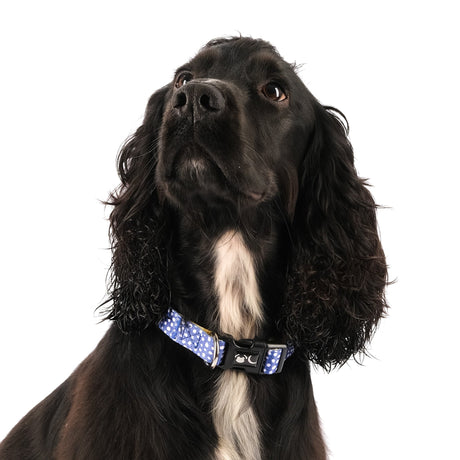 SnazzyTails Minnie Dog Collar Blue Polka Dot and Yellow Print