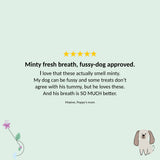 Gizzls Minty Fresh Big Dog Treats 200g
