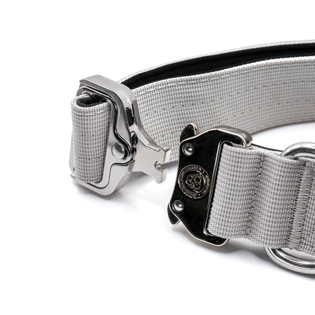 BTactical 4cm Nylon Dog Collar - Misty Grey