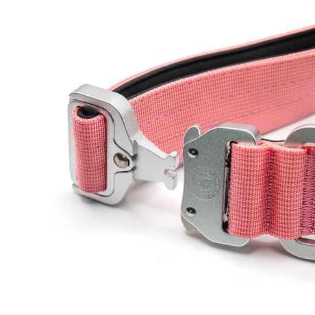BTactical 4cm Nylon Zinc Buckle Dog Collar with Handle - Pretty Pink