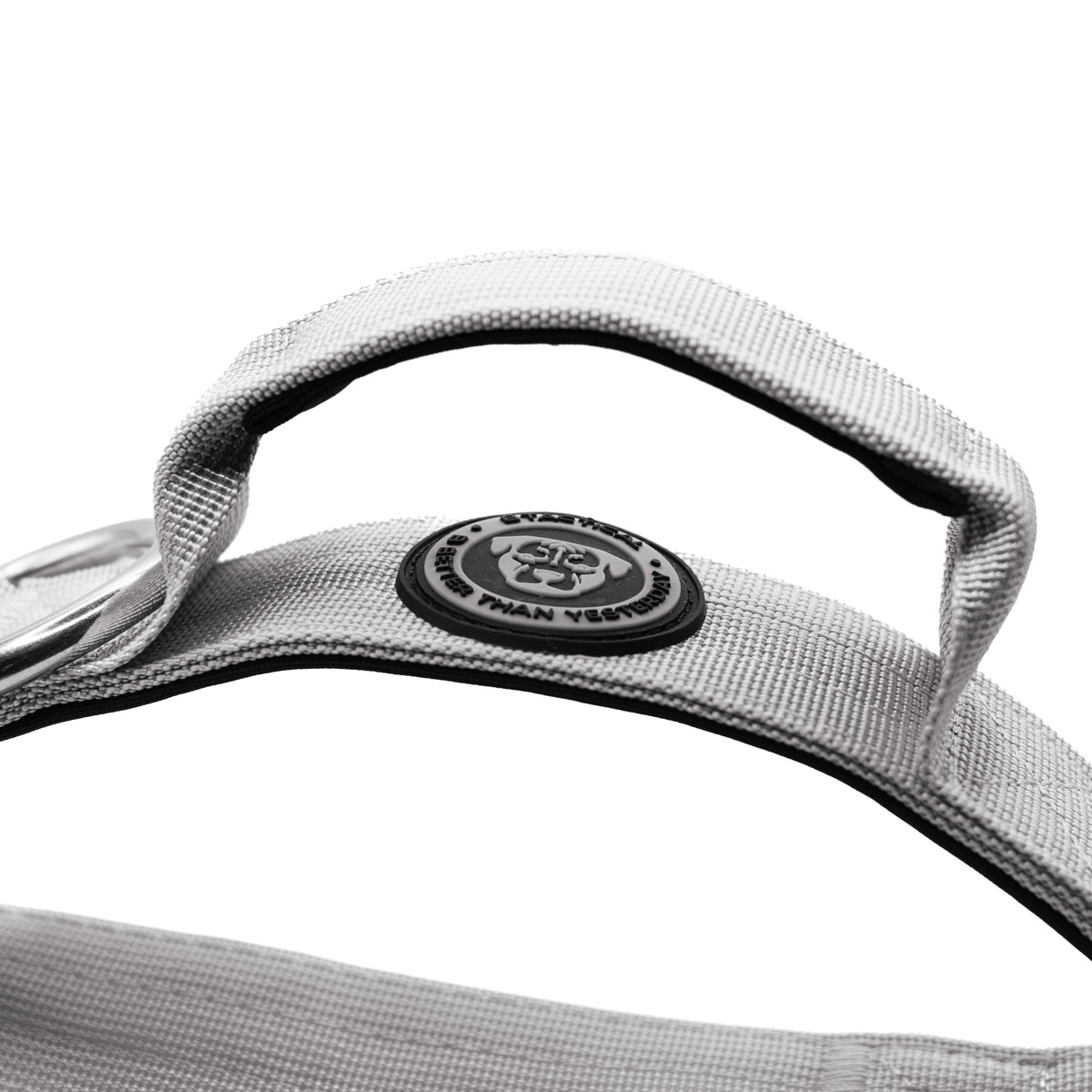 BTactical 4cm Nylon Dog Collar - Misty Grey