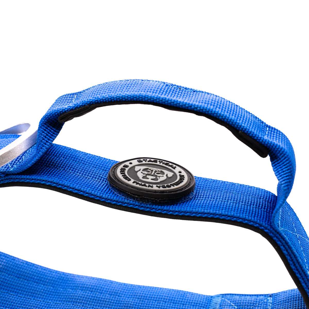 BTactical 4cm Nylon Dog Collar - Royal Blue
