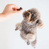 Gizzls Soft Bites Dog Treat Bundle 2 x 300g