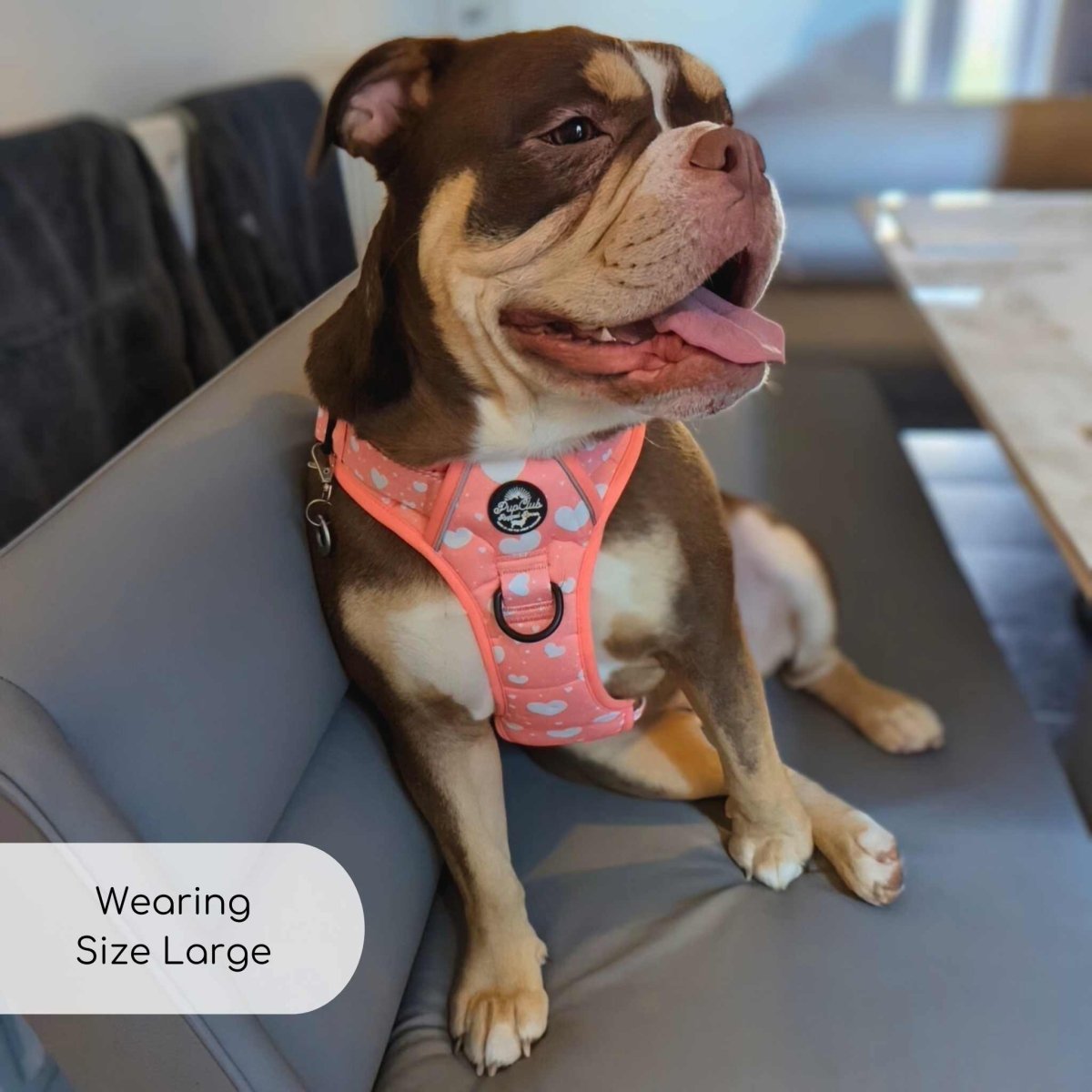 PupClub Couture Rugged Rover Harness - Peachy Hearts