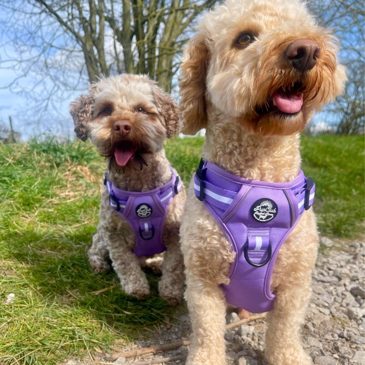PupClub Couture Rugged Rover Harness - Lilac Blush