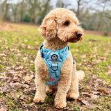 PupClub Couture Rugged Rover Harness - Jurassic Party