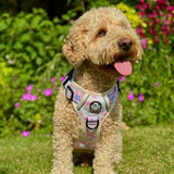 PupClub Couture Rugged Rover Pretty Petals Dog Harness