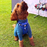 PupClub Couture Rugged Rover Harness - Royal Blue
